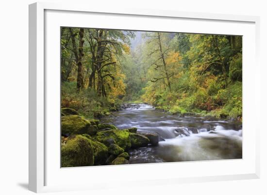 Tanner Creek, Columbia River Gorge, Oregon, USA-Jamie & Judy Wild-Framed Photographic Print