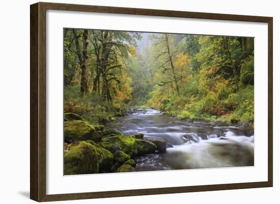 Tanner Creek, Columbia River Gorge, Oregon, USA-Jamie & Judy Wild-Framed Photographic Print