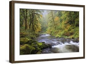 Tanner Creek, Columbia River Gorge, Oregon, USA-Jamie & Judy Wild-Framed Photographic Print