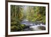 Tanner Creek, Columbia River Gorge, Oregon, USA-Jamie & Judy Wild-Framed Photographic Print