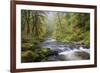 Tanner Creek, Columbia River Gorge, Oregon, USA-Jamie & Judy Wild-Framed Photographic Print