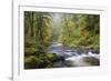 Tanner Creek, Columbia River Gorge, Oregon, USA-Jamie & Judy Wild-Framed Photographic Print