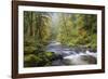 Tanner Creek, Columbia River Gorge, Oregon, USA-Jamie & Judy Wild-Framed Photographic Print