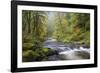 Tanner Creek, Columbia River Gorge, Oregon, USA-Jamie & Judy Wild-Framed Photographic Print