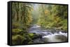 Tanner Creek, Columbia River Gorge, Oregon, USA-Jamie & Judy Wild-Framed Stretched Canvas