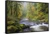 Tanner Creek, Columbia River Gorge, Oregon, USA-Jamie & Judy Wild-Framed Stretched Canvas