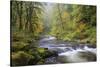 Tanner Creek, Columbia River Gorge, Oregon, USA-Jamie & Judy Wild-Stretched Canvas
