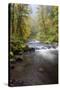 Tanner Creek, Columbia River Gorge, Oregon, USA-Jamie & Judy Wild-Stretched Canvas