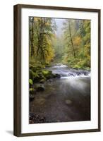 Tanner Creek, Columbia River Gorge, Oregon, USA-Jamie & Judy Wild-Framed Photographic Print