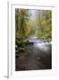 Tanner Creek, Columbia River Gorge, Oregon, USA-Jamie & Judy Wild-Framed Photographic Print