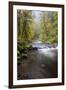 Tanner Creek, Columbia River Gorge, Oregon, USA-Jamie & Judy Wild-Framed Photographic Print