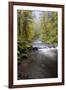 Tanner Creek, Columbia River Gorge, Oregon, USA-Jamie & Judy Wild-Framed Photographic Print