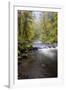 Tanner Creek, Columbia River Gorge, Oregon, USA-Jamie & Judy Wild-Framed Photographic Print