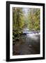 Tanner Creek, Columbia River Gorge, Oregon, USA-Jamie & Judy Wild-Framed Photographic Print