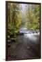 Tanner Creek, Columbia River Gorge, Oregon, USA-Jamie & Judy Wild-Framed Photographic Print