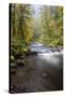 Tanner Creek, Columbia River Gorge, Oregon, USA-Jamie & Judy Wild-Stretched Canvas