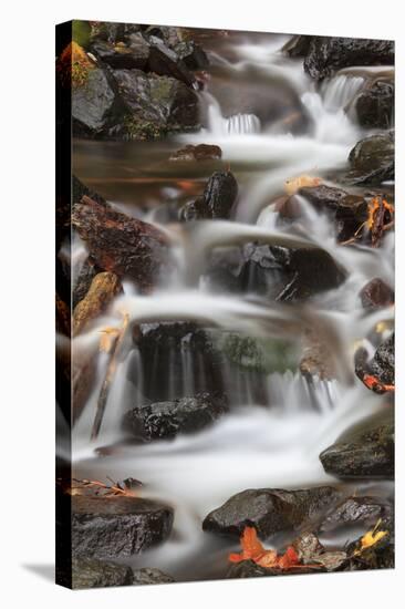 Tanner Creek, Columbia River Gorge, Oregon, USA-Jamie & Judy Wild-Stretched Canvas