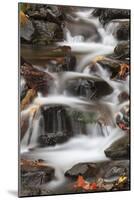 Tanner Creek, Columbia River Gorge, Oregon, USA-Jamie & Judy Wild-Mounted Photographic Print