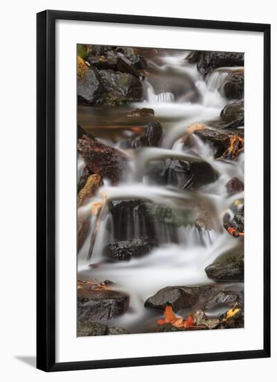 Tanner Creek, Columbia River Gorge, Oregon, USA-Jamie & Judy Wild-Framed Photographic Print