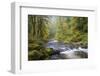 Tanner Creek, Columbia River Gorge, Oregon, USA-Jamie & Judy Wild-Framed Photographic Print