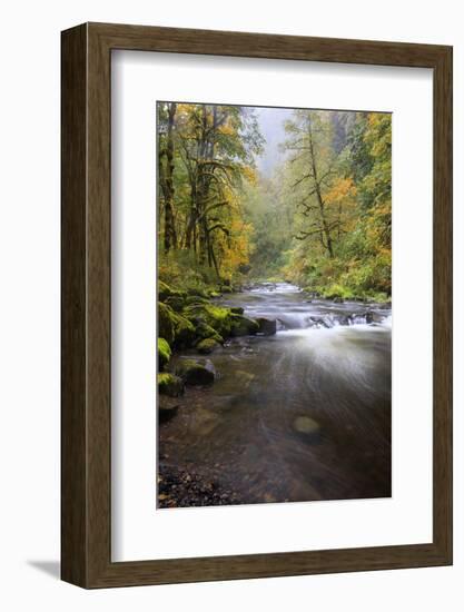 Tanner Creek, Columbia River Gorge, Oregon, USA-Jamie & Judy Wild-Framed Photographic Print