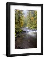 Tanner Creek, Columbia River Gorge, Oregon, USA-Jamie & Judy Wild-Framed Photographic Print