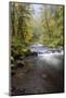 Tanner Creek, Columbia River Gorge, Oregon, USA-Jamie & Judy Wild-Mounted Photographic Print