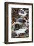 Tanner Creek, Columbia River Gorge, Oregon, USA-Jamie & Judy Wild-Framed Photographic Print