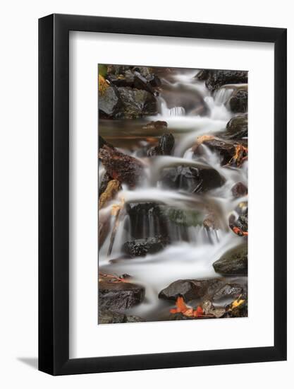 Tanner Creek, Columbia River Gorge, Oregon, USA-Jamie & Judy Wild-Framed Photographic Print