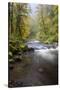 Tanner Creek, Columbia River Gorge, Oregon, USA-Jamie & Judy Wild-Stretched Canvas