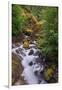 Tanner Creek, Columbia River Gorge, Oregon-Adam Jones-Framed Photographic Print