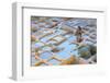 Tanneries, Fez, Morocco, North Africa, Africa-Neil-Framed Photographic Print