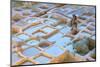 Tanneries, Fez, Morocco, North Africa, Africa-Neil-Mounted Photographic Print
