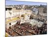 Tannery, Fez, UNESCO World Heritage Site, Morocco, North Africa, Africa-Marco Cristofori-Mounted Photographic Print
