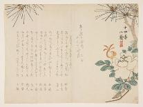 Pine and a Peony Flower, 1860-Tanomura Sh?sai-Giclee Print