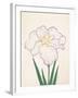 Tanporo, No. 51, 1890-null-Framed Giclee Print