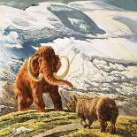 Mammoth Meets Rhinocerous-Tansley-Laminated Giclee Print