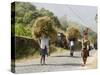 Tansporting Animal Feed, Near Sao Jorge Dos Orgaos Botanical Garden, Santiago, Cape Verde Islands-R H Productions-Stretched Canvas