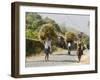 Tansporting Animal Feed, Near Sao Jorge Dos Orgaos Botanical Garden, Santiago, Cape Verde Islands-R H Productions-Framed Photographic Print