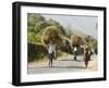 Tansporting Animal Feed, Near Sao Jorge Dos Orgaos Botanical Garden, Santiago, Cape Verde Islands-R H Productions-Framed Photographic Print