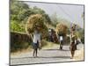 Tansporting Animal Feed, Near Sao Jorge Dos Orgaos Botanical Garden, Santiago, Cape Verde Islands-R H Productions-Mounted Photographic Print