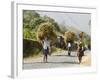 Tansporting Animal Feed, Near Sao Jorge Dos Orgaos Botanical Garden, Santiago, Cape Verde Islands-R H Productions-Framed Photographic Print