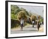 Tansporting Animal Feed, Near Sao Jorge Dos Orgaos Botanical Garden, Santiago, Cape Verde Islands-R H Productions-Framed Photographic Print