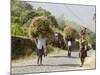 Tansporting Animal Feed, Near Sao Jorge Dos Orgaos Botanical Garden, Santiago, Cape Verde Islands-R H Productions-Mounted Photographic Print