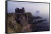 Tantallon Castle Near North Berwick Bass Rock, Scotland, United Kingdom-null-Framed Stretched Canvas