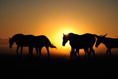 A Herd of Horses at Sunrise.-Tanya Yurkovska-Stretched Canvas