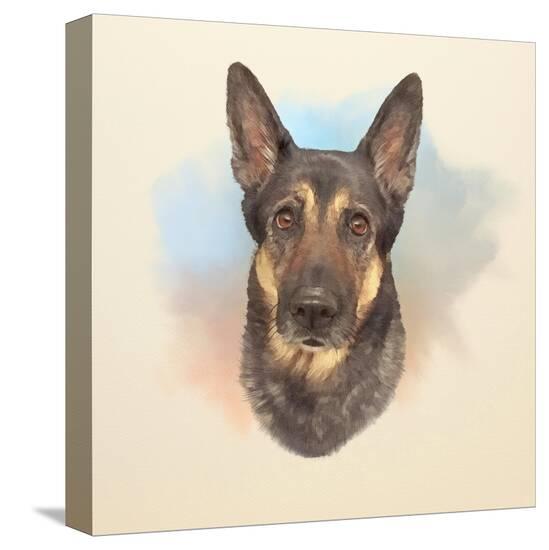Stretched Canvas Print, , large
