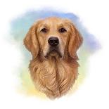 Portrait of A Beautiful Brown Dog.-TanyaZima-Art Print