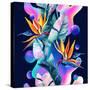 Stretched Canvas