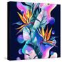 Stretched Canvas